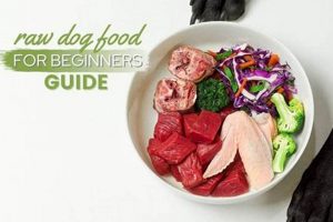 Is Raw Right? Raw Food Diet for German Shepherds Guide World’s Most Delicious Foods: Must-Try Dishes from Every Country Is Raw Right? Raw Food Diet for German Shepherds Guide | World’s Most Delicious Foods: Must-Try Dishes from Every Country