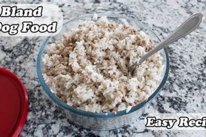 Simple Bland Dog Food Recipe: Soothe Your Dog's Tummy | World’s Most Delicious Foods: Must-Try Dishes from Every Country