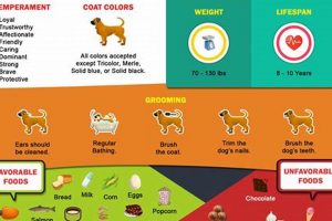 Best Dog Food for American Bulldogs: Diet & Health Guide World’s Most Delicious Foods: Must-Try Dishes from Every Country Best Dog Food for American Bulldogs: Diet & Health Guide | World’s Most Delicious Foods: Must-Try Dishes from Every Country