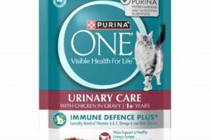 Best Purina Urinary Cat Food Wet: Keep Your Cat Healthy! | World’s Most Delicious Foods: Must-Try Dishes from Every Country