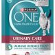 Best Purina Urinary Cat Food Wet: Keep Your Cat Healthy! | World’s Most Delicious Foods: Must-Try Dishes from Every Country