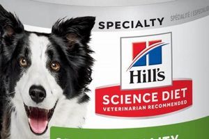 Top-Rated: Best Wet Food for Senior Dogs in 2024 ➡ | World’s Most Delicious Foods: Must-Try Dishes from Every Country