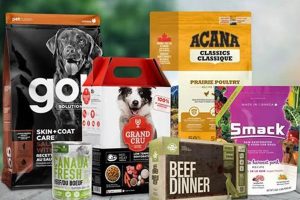 Top Canadian Dog Food Brands: Fueling Happy Paws World’s Most Delicious Foods: Must-Try Dishes from Every Country Top Canadian Dog Food Brands: Fueling Happy Paws | World’s Most Delicious Foods: Must-Try Dishes from Every Country