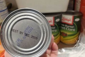 Can Food Banks Take Expired Canned Goods? Donation Guide World’s Most Delicious Foods: Must-Try Dishes from Every Country Can Food Banks Take Expired Canned Goods? Donation Guide | World’s Most Delicious Foods: Must-Try Dishes from Every Country