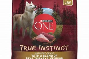 Review: Is Instinct a Good Dog Food? | Dog Diet | World’s Most Delicious Foods: Must-Try Dishes from Every Country