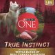 Review: Is Instinct a Good Dog Food? | Dog Diet | World’s Most Delicious Foods: Must-Try Dishes from Every Country