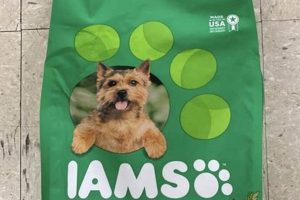 Best Soft Dog Food for Senior Dogs: Brands &amp; Buying Guide | World’s Most Delicious Foods: Must-Try Dishes from Every Country