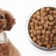 Top Picks: Best Dog Food for Poodle Puppies (2024) | World’s Most Delicious Foods: Must-Try Dishes from Every Country