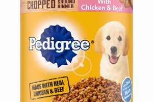 Is Canned Dog Food Pedigree the Best Choice for Your Pup? World’s Most Delicious Foods: Must-Try Dishes from Every Country Is Canned Dog Food Pedigree the Best Choice for Your Pup? | World’s Most Delicious Foods: Must-Try Dishes from Every Country
