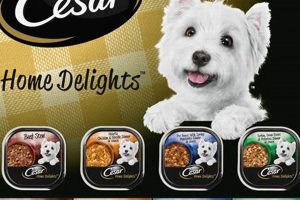 Best Cesar Dog Food Coupon Deals: Save Now! | World’s Most Delicious Foods: Must-Try Dishes from Every Country