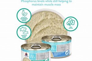 Is Weruva Low Phosphorus Cat Food Right for Your Cat? World’s Most Delicious Foods: Must-Try Dishes from Every Country Is Weruva Low Phosphorus Cat Food Right for Your Cat? | World’s Most Delicious Foods: Must-Try Dishes from Every Country