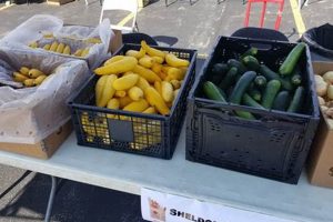 Your Guide: Sheldon Heights COC Food Pantry Info & Support | World’s Most Delicious Foods: Must-Try Dishes from Every Country