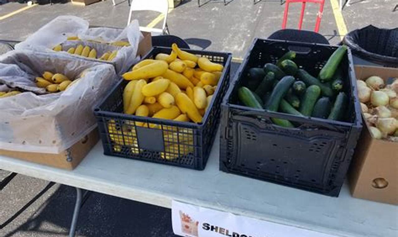 Your Guide: Sheldon Heights COC Food Pantry Info & Support World’s Most Delicious Foods: Must-Try Dishes from Every Country Your Guide: Sheldon Heights COC Food Pantry Info & Support | World’s Most Delicious Foods: Must-Try Dishes from Every Country