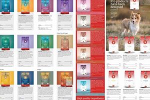 Best Dog Food Catalogue: Brands, Prices & More World’s Most Delicious Foods: Must-Try Dishes from Every Country Best Dog Food Catalogue: Brands, Prices & More | World’s Most Delicious Foods: Must-Try Dishes from Every Country
