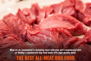 Best Meat Dog Food: Nourishing Your Dog with Protein Power World’s Most Delicious Foods: Must-Try Dishes from Every Country Best Meat Dog Food: Nourishing Your Dog with Protein Power | World’s Most Delicious Foods: Must-Try Dishes from Every Country