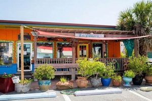 Best Mexican Food in Port Aransas: A Coastal Guide World’s Most Delicious Foods: Must-Try Dishes from Every Country Best Mexican Food in Port Aransas: A Coastal Guide | World’s Most Delicious Foods: Must-Try Dishes from Every Country