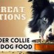 Top-Rated: Best Border Collie Food for Active Dogs (2024) | World’s Most Delicious Foods: Must-Try Dishes from Every Country