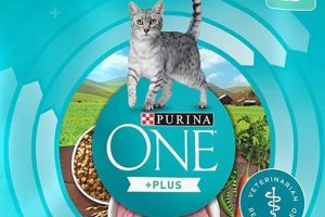 Top-Rated: Best Cat Food for Sensitive Stomach Cats (2024) | World’s Most Delicious Foods: Must-Try Dishes from Every Country