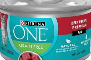 Best Beef Cat Food: Delicious & Healthy Meals! World’s Most Delicious Foods: Must-Try Dishes from Every Country Best Beef Cat Food: Delicious & Healthy Meals! | World’s Most Delicious Foods: Must-Try Dishes from Every Country