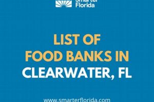 Find Top Food Banks in Clearwater, FL: Your Guide | World’s Most Delicious Foods: Must-Try Dishes from Every Country