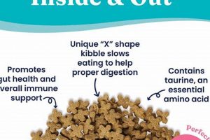 Best Dry Cat Food Shapes: Health & Palatability Guide World’s Most Delicious Foods: Must-Try Dishes from Every Country Best Dry Cat Food Shapes: Health & Palatability Guide | World’s Most Delicious Foods: Must-Try Dishes from Every Country