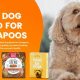 The Top: Best Dog Food for Cavapoos - Guide & Tips! | World’s Most Delicious Foods: Must-Try Dishes from Every Country