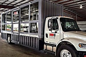 Why 900 Degreez Pizza Food Trucks Are HOT Now! | World’s Most Delicious Foods: Must-Try Dishes from Every Country