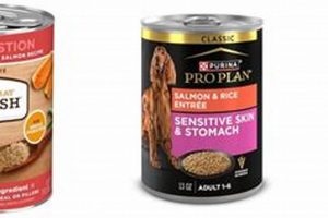 Best Canned Dog Food for Sensitive Stomachs [Easy Digest] | World’s Most Delicious Foods: Must-Try Dishes from Every Country
