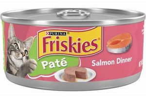 Best Salmon Canned Cat Food? Expert Review + Guide! World’s Most Delicious Foods: Must-Try Dishes from Every Country Best Salmon Canned Cat Food? Expert Review + Guide! | World’s Most Delicious Foods: Must-Try Dishes from Every Country