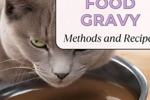 Easy Homemade Gravy Cat Food Recipe [DIY] | World’s Most Delicious Foods: Must-Try Dishes from Every Country