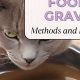 Easy Homemade Gravy Cat Food Recipe [DIY] | World’s Most Delicious Foods: Must-Try Dishes from Every Country
