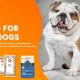 The Best Dog Food for English Bulldog Puppies: Reviews & Guide! | World’s Most Delicious Foods: Must-Try Dishes from Every Country