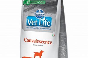 Is Vet Life Dog Food Right? Expert Diet Tips For Your Dog | World’s Most Delicious Foods: Must-Try Dishes from Every Country