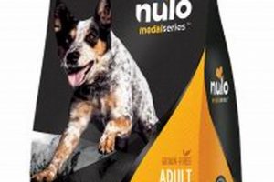 Is Nulo Medal Series Dog Food Good? Review + Alternatives | World’s Most Delicious Foods: Must-Try Dishes from Every Country