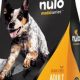 Is Nulo Medal Series Dog Food Good? Review + Alternatives | World’s Most Delicious Foods: Must-Try Dishes from Every Country