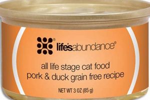 Nourishing Your Cat with Life's Abundance Wet Food + Benefits | World’s Most Delicious Foods: Must-Try Dishes from Every Country