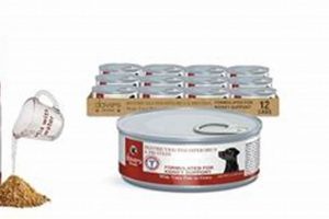 Top Best Non Prescription Dog Food for Kidney Disease Options Guide World’s Most Delicious Foods: Must-Try Dishes from Every Country Top Best Non Prescription Dog Food for Kidney Disease Options Guide | World’s Most Delicious Foods: Must-Try Dishes from Every Country