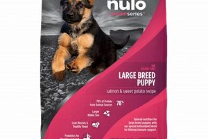 Best Nulo Puppy Food Guide: Fueling Your Pup's Growth! | World’s Most Delicious Foods: Must-Try Dishes from Every Country