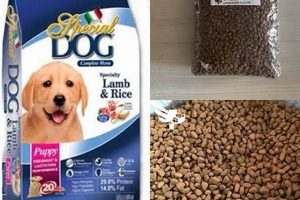 Buy Special Dog Food For [Breed] & Get Free Shipping | World’s Most Delicious Foods: Must-Try Dishes from Every Country