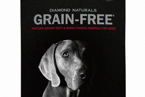 Diamond High Protein Dog Food: Benefits &amp; Brands | World’s Most Delicious Foods: Must-Try Dishes from Every Country
