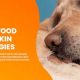 The Best Dog Food for Labradoodles With Skin Allergies: Guide &amp; Tips | World’s Most Delicious Foods: Must-Try Dishes from Every Country