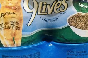 Avoid The Worst Wet Cat Food: Brands & What To Look For | World’s Most Delicious Foods: Must-Try Dishes from Every Country