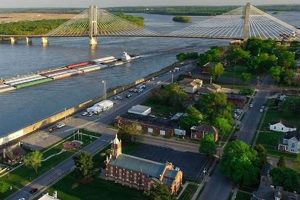 Best Chinese Food in Cape Girardeau, MO: [Restaurant Name] | World’s Most Delicious Foods: Must-Try Dishes from Every Country