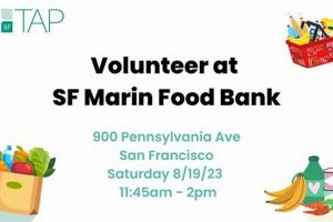 Become a Marin Food Bank Volunteer: Help Fight Hunger! World’s Most Delicious Foods: Must-Try Dishes from Every Country Become a Marin Food Bank Volunteer: Help Fight Hunger! | World’s Most Delicious Foods: Must-Try Dishes from Every Country