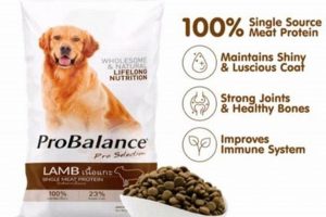 Best Probalance Dog Food for a Healthy Pup + Reviews World’s Most Delicious Foods: Must-Try Dishes from Every Country Best Probalance Dog Food for a Healthy Pup + Reviews | World’s Most Delicious Foods: Must-Try Dishes from Every Country