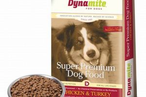 Dynamite Dog Food: Fuel Your Dog's Inner Strength! | World’s Most Delicious Foods: Must-Try Dishes from Every Country