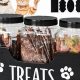 Why Farmhouse Dog Food? Benefits & Recipes for Dogs | World’s Most Delicious Foods: Must-Try Dishes from Every Country