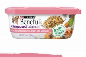 Best Wet Salmon Dog Food: Benefits & Brands World’s Most Delicious Foods: Must-Try Dishes from Every Country Best Wet Salmon Dog Food: Benefits & Brands | World’s Most Delicious Foods: Must-Try Dishes from Every Country