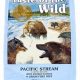 Taste of the Wild Pacific Stream: Best Food For Your Dog | World’s Most Delicious Foods: Must-Try Dishes from Every Country
