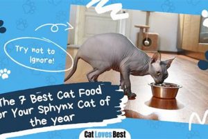 The Ultimate Guide: Best Cat Food for Sphynx Health | World’s Most Delicious Foods: Must-Try Dishes from Every Country